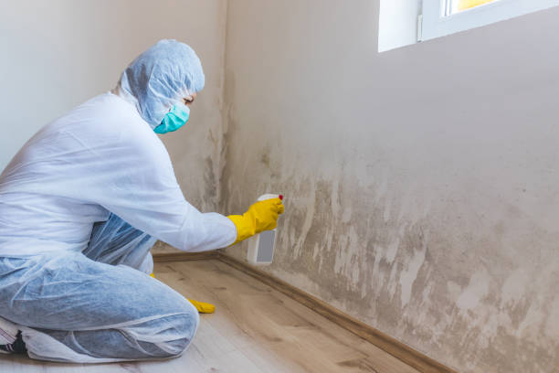 Bathroom Mold Removal assessment in Grapevine bathroom