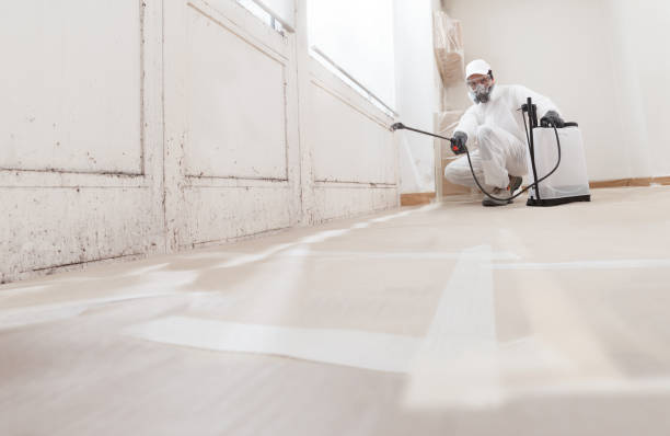 Black mold remediation team in Grapevine